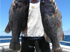 Not a bad days fishin in the sw!