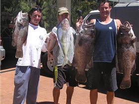 Not a bad days fishin in the sw!