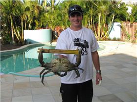 Caught this amonst some nice blue swimmers