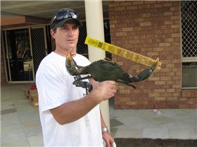 Caught this amonst some nice blue swimmers