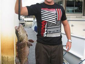 Nice estuary cod caught in the canals QLD