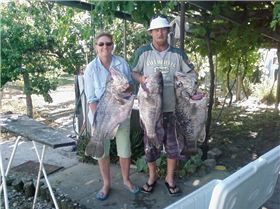 Great Boxing day fishin