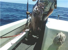 Great Boxing day fishin