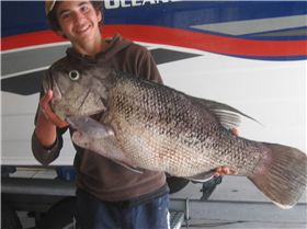 12 kg dhuie on lure