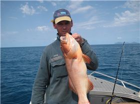 hey this is better than xxxx gold