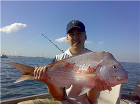 snapper in the sound from me tinny