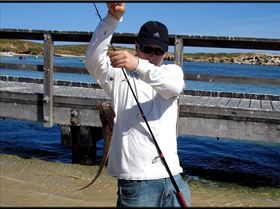 Nice Cobbler from Rockingham