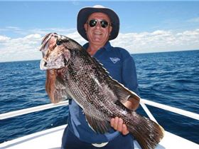 bloodey eastern staters in west oz