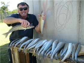 KI Sth Aussie - King George Whiting are biting!