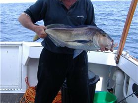 Woody Island Day Out - Esperance WA