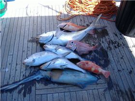 Woody Island Day Out - Esperance WA