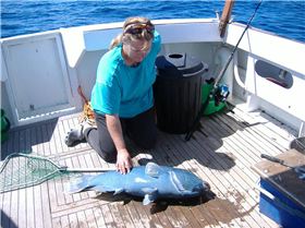 Woody Island Day Out - Esperance WA