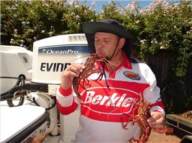 Half way to 3mile reef, lovely buggers.