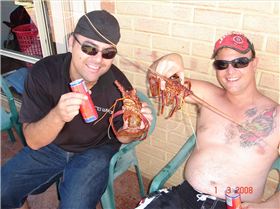 Half way to 3mile reef, lovely buggers.