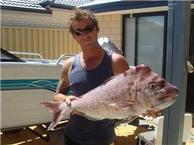 perth snapper