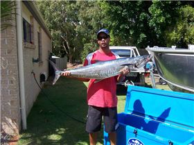 Spanish Mackeral - Caloundra, Sunshine Coast