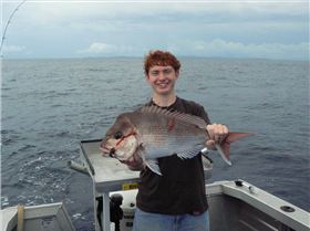 3kg Snapper on soft plastics