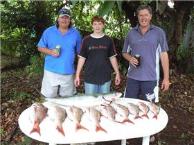 A nice catch from the boys....All on soft plastics.