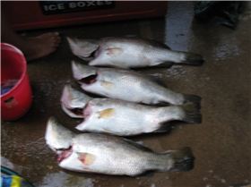 fishing in gods country n.t.