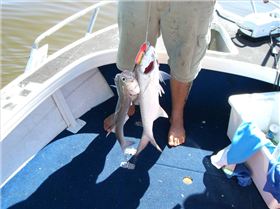 fishing in gods country n.t.