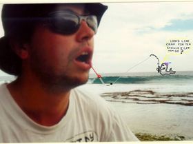 caught a steve wonder