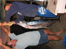 we all love mackerl steaks