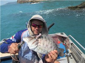 Fishing Hard, Playing harder