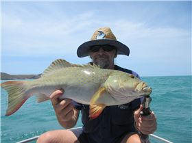 Fishing Hard, Playing harder