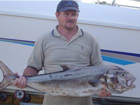 30 Pound samson fish