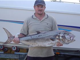 30 Pound samson fish