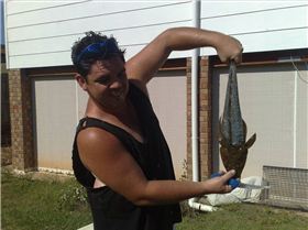 nice flathead from mouth of logan river