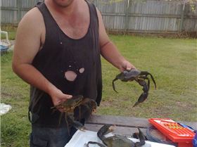 nice flathead from mouth of logan river