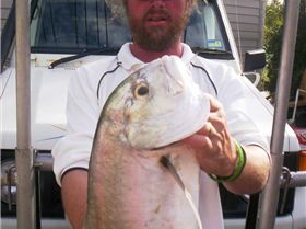 Noosa Surf Fishing Tours