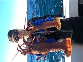 WP 20171214 06 48 22 Pro