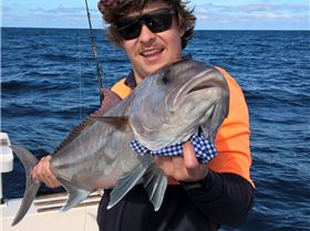 WP 20160331 10 02 21 Pro