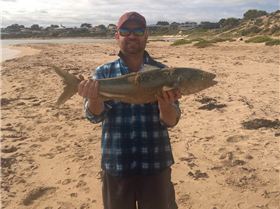 WP 20160509 10 40 55 Pro