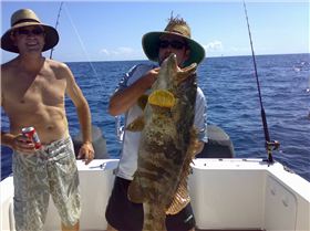 nice cod released hervey bay