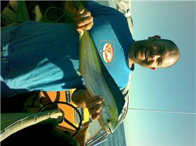 Maih Maih (Dolphin Fish)