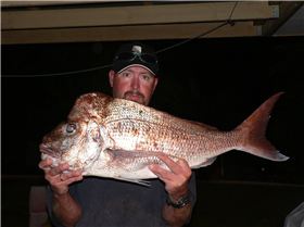 6.5kg Snapper