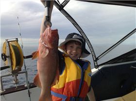 Reef Fishing Off Cairns