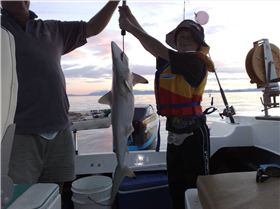 Reef Fishing Off Cairns