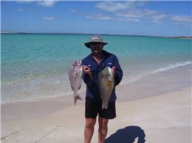 OK Trip to steep point