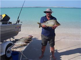 OK Trip to steep point