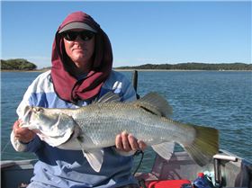 Saltwater barra