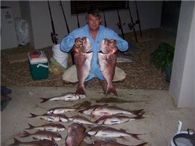 Snapper Fishing 2008