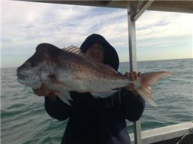Snapper Fishing 2008