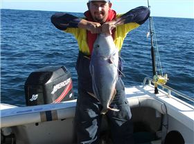 groper and a queenie