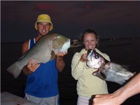 Lizzys Dhu & a Boldy