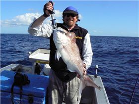 Snapper on soft plastics