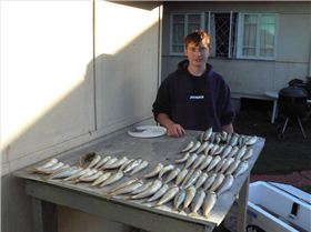 A few good whitting